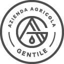 Elementor Landing Page #3688 GENTILE LOGO TEMP grey 1