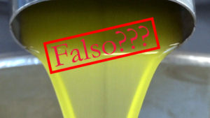 Home Falso evo