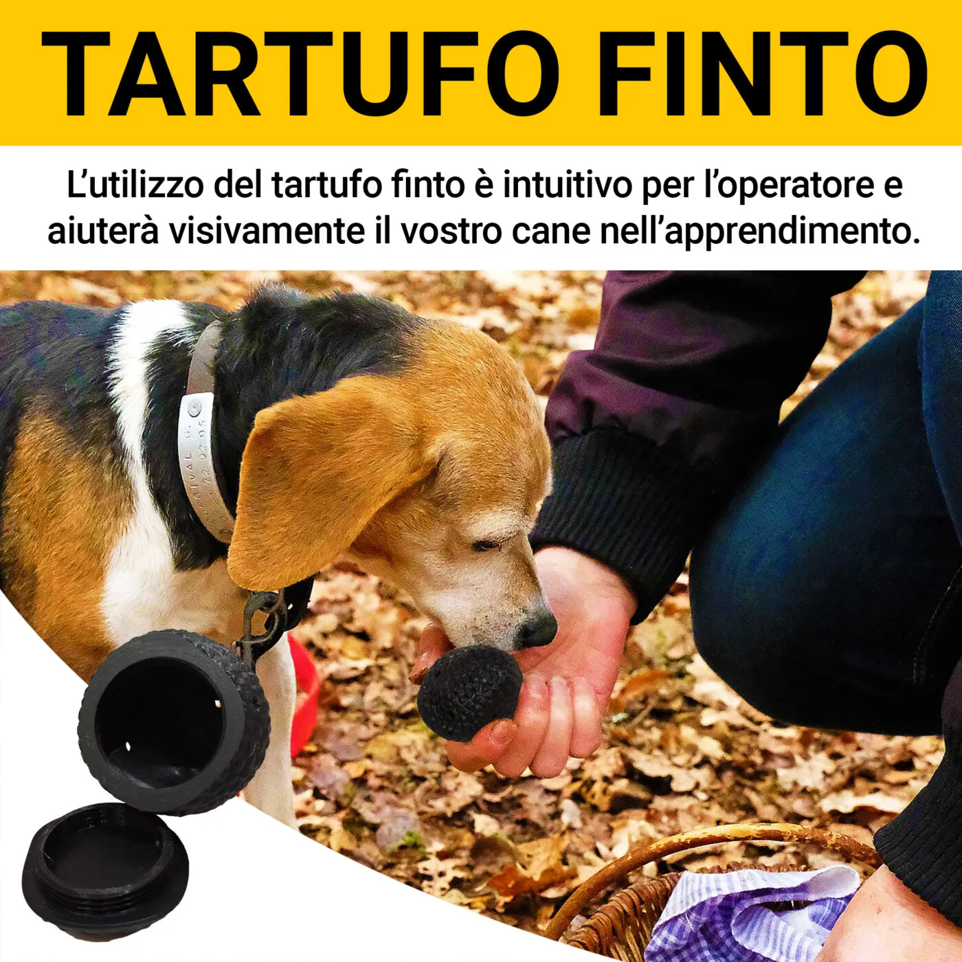 Olio per addestramento al tartufo Olio per addestramento al tartufo - immagine 5
