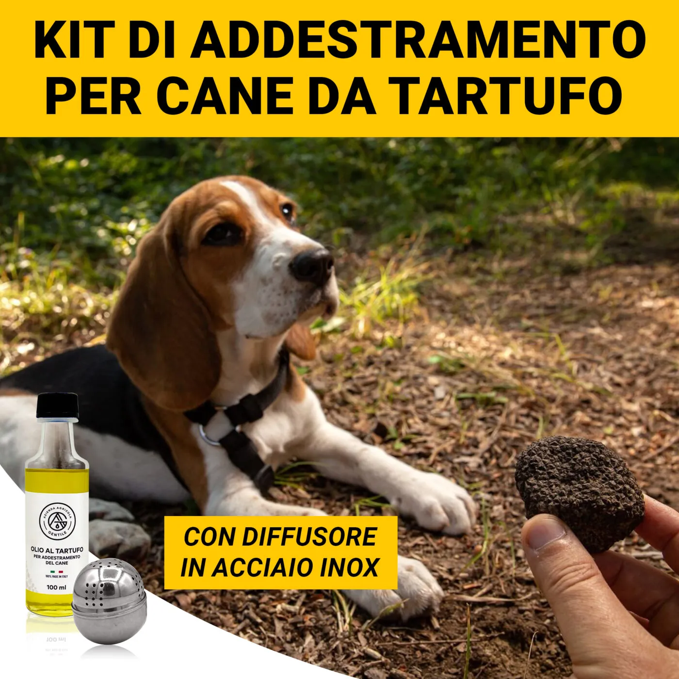 Olio per addestramento al tartufo Olio per addestramento al tartufo - immagine 6