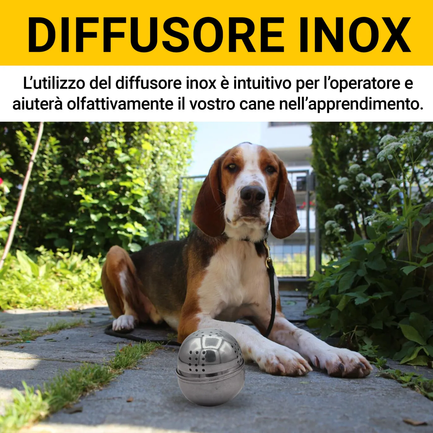 Olio per addestramento al tartufo Olio per addestramento al tartufo - immagine 7