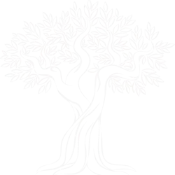 Albero vettoriale bianco 600x600